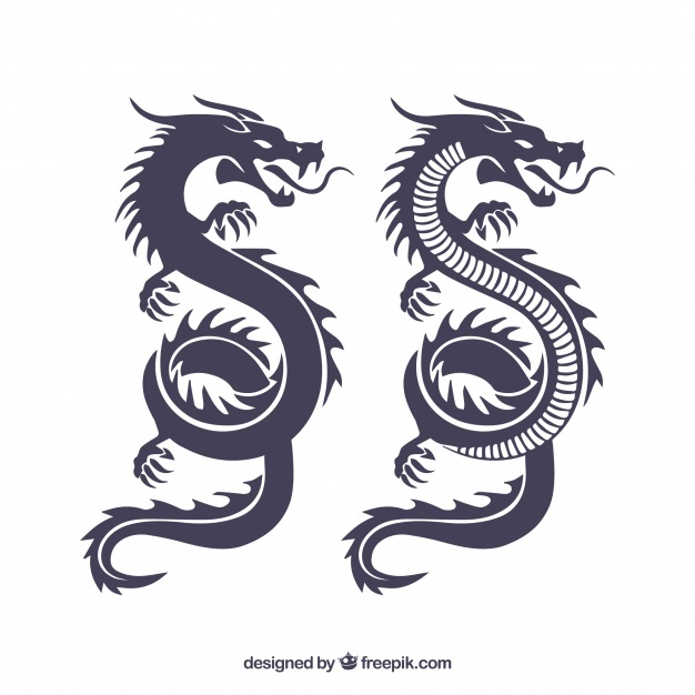 626x626 Dragon Vectors, Photos And Psd Files Free Download