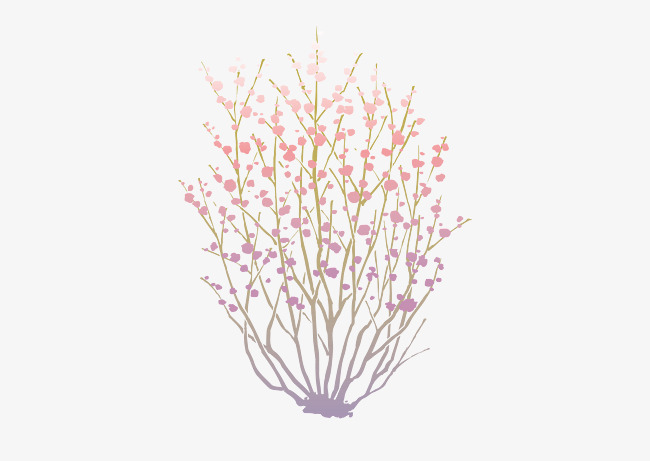 650x461 Japanese Plant Flowers Vector Material, Plant Vector, Vector