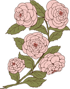 234x300 Japanese Vector Flowers Royalty Free Stock Image