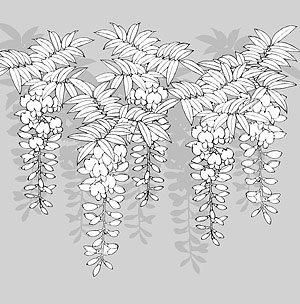 300x304 Japanese Line Drawing Plants And Flowers Vector Material 12