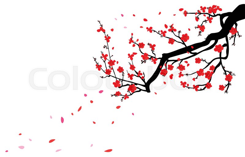 800x515 Watercolor Sakura Frame. Background With Blossom Cherry Tree