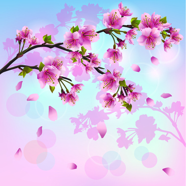 369x368 Cherry Blossom Tree Vector Free Vector Download (6,053 Free Vector