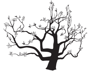 317x250 Japanese Magnolia Tree Vector Drawing