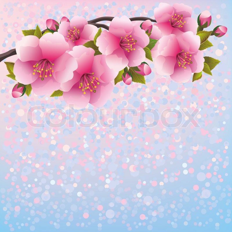 800x800 Purple Background With Sakura Blossom Japanese Cherry Tree Stock