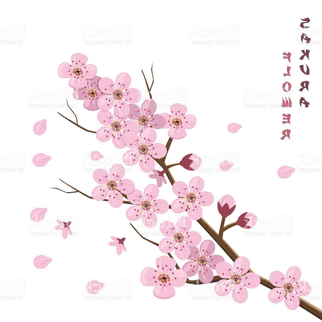 1024x1024 Best Hd Japanese Cherry Blossom Tree Art Vector Images