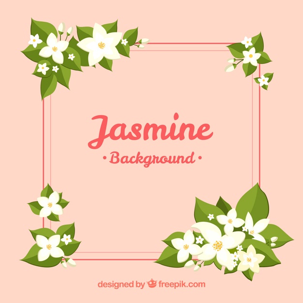 626x626 Jasmine Flowers Vectors, Photos And Psd Files Free Download