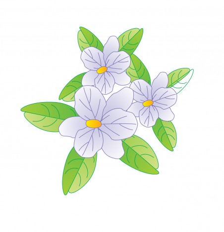 Jasmine Flower Vector at GetDrawings | Free download