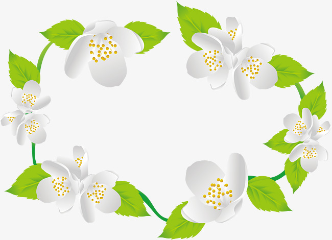 650x470 Exquisite Jasmine Border, Vector Png, Jasmine, Jasmine Flower Png