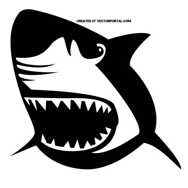 660x660 Great White Shark Vector