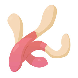 300x300 Fruit Jelly Sweet Royalty Free Vectors