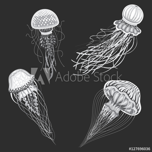 500x500 Jellyfish Vector Isolated Cartoon Set Of Icons