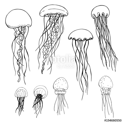 500x500 Jellyfish. Vector Sketch Illustration. Stock Image And Royalty