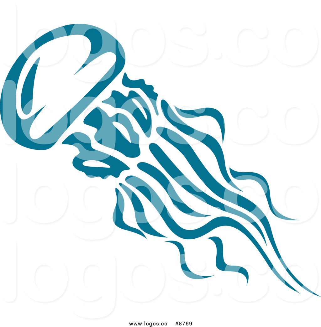 1024x1044 Jellyfish Vector
