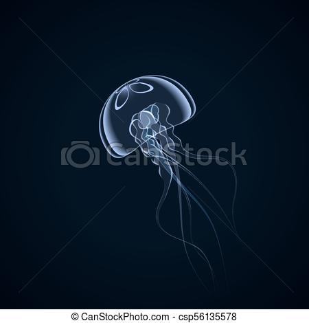 450x470 Hand Drawn Jellyfish. Vector Illustration. Beautiful... Vectors
