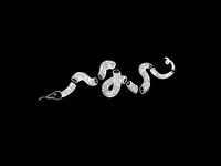 200x150 Eli Ouellette