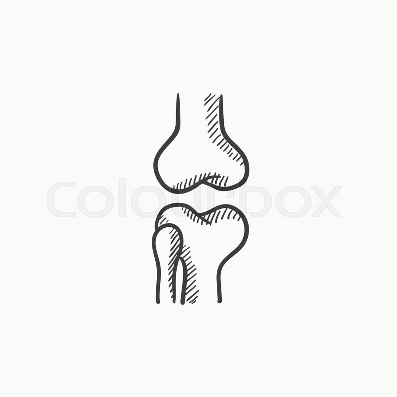 800x800 Knee Joint Vector Sketch Icon Isolated On Background. Hand Drawn