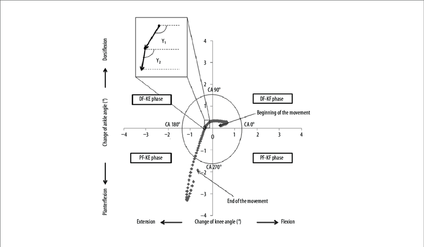 850x495 Modified Vector Coding Analysis And The Definition Of The Joint