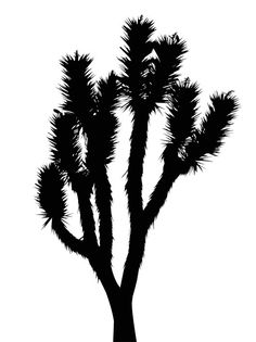 Joshua Tree Vector at GetDrawings | Free download