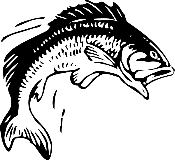600x546 Jumping Fish Clip Art Free Vector In Open Office Drawing Svg