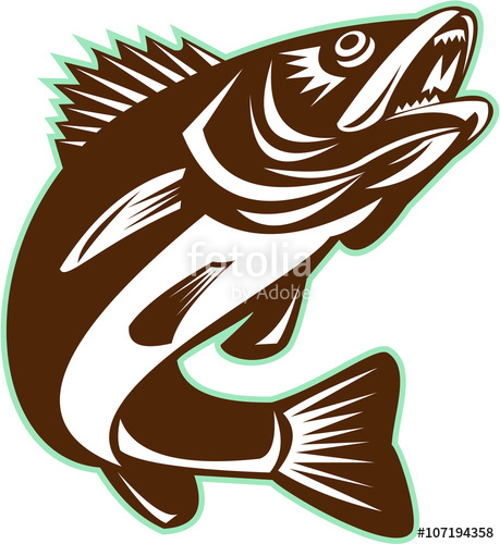 459x500 Walleye Fish Jumping Isolated Retro Stock Image And Royalty Free