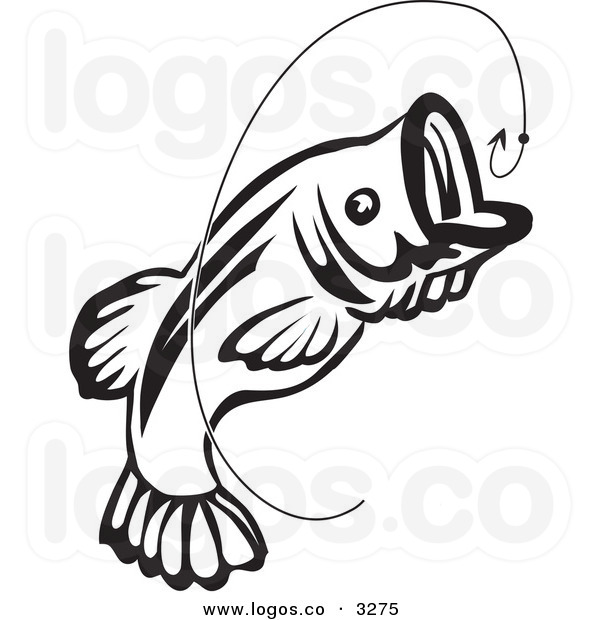 600x620 Collection Of Free Hoom Clipart Cool Fishing. Download On Ubisafe