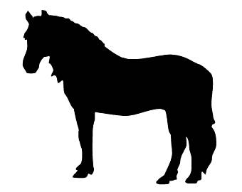 340x270 Jumping Horse Svg Etsy