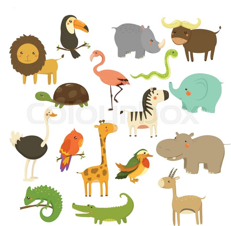 800x785 Cute Woodland And Jungle Animals Vector Set Stock Vector Colourbox