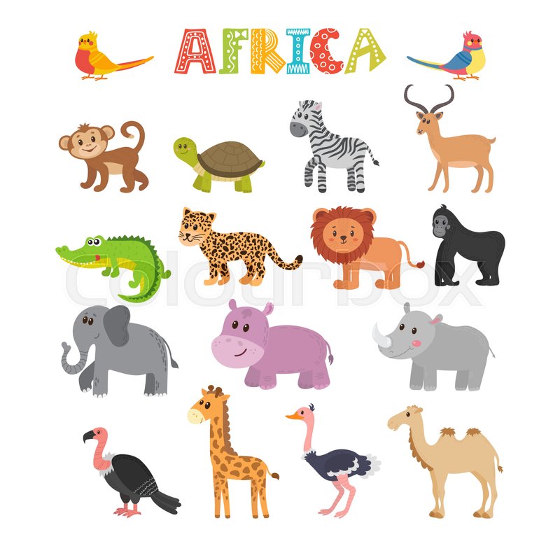 800x800 Animals Of Africa. Vector Set Of Cartoon Jungle Animals. Vector