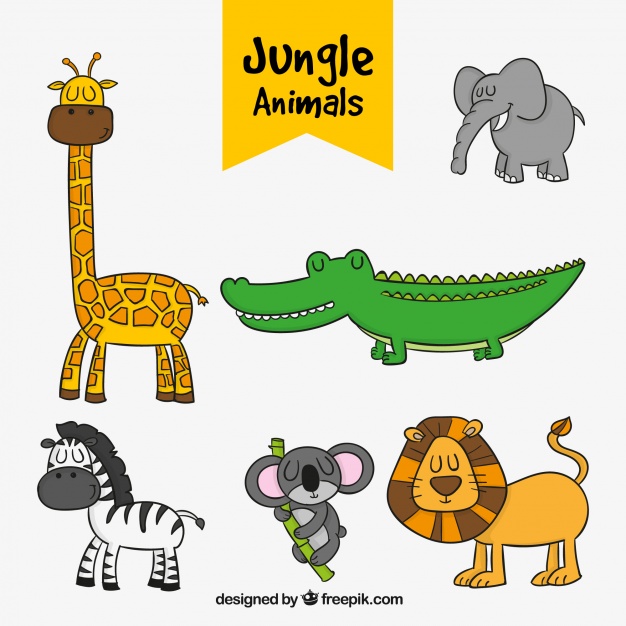 626x626 Set Of Hand Drawn Jungle Animals Vector Free Download