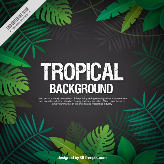 626x626 Jungle Vectors, Photos And Psd Files Free Download