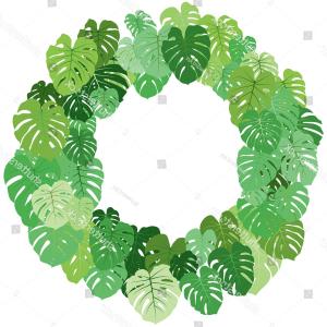 300x300 Monstera Leaf Vector Frame Jungle Leaves Lazttweet