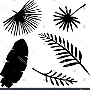 300x300 Tropical Leaves Silhouette Jungle Leaves Set Vector Sohadacouri