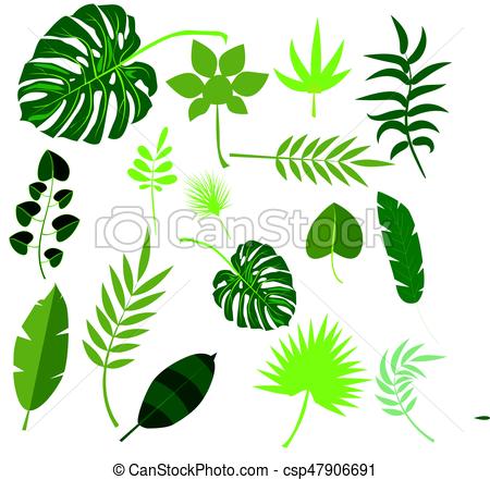 Jungle Leaves Vector at GetDrawings | Free download