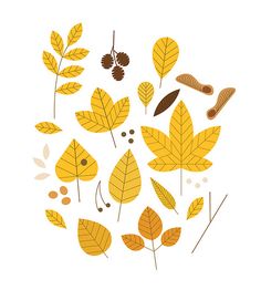 236x262 Vector Jungle Leaf Vector Graphics Free Vectors Amp Graphics