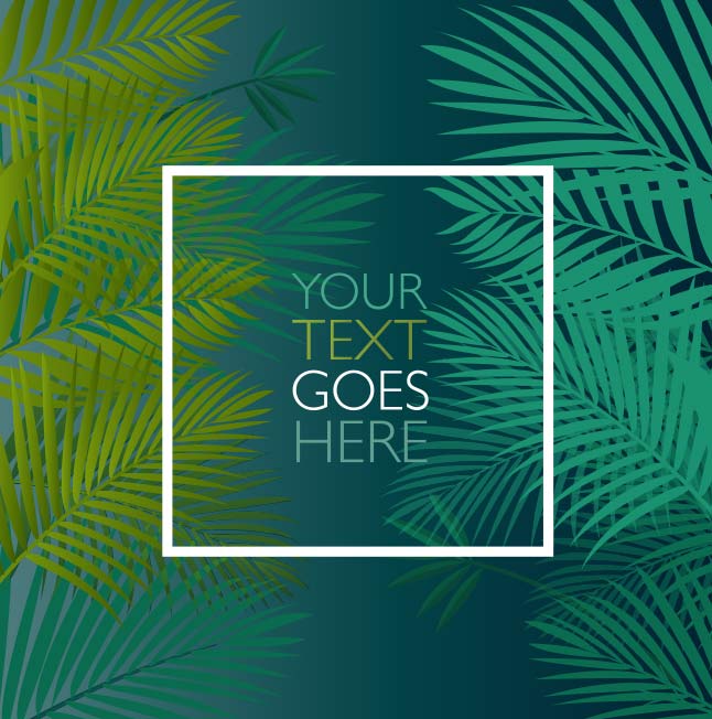 646x652 Free Jungle Leaves Frame Vector Vector Art Amp Graphics