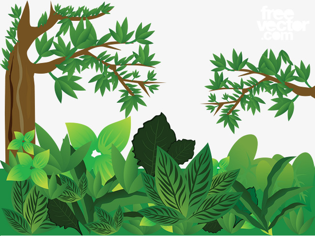650x487 Green Jungle Vector, Trees, Leaves, Big Leaves Png And Vector For