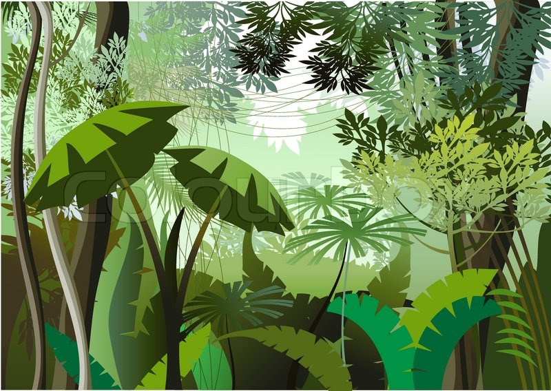 800x568 Overgrown Plants In The Jungle Stock Vector Colourbox