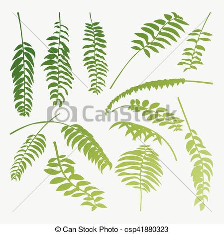 450x470 Tropical Palm Leaves Jungle Vector Background Isolated On White.