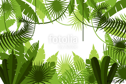 500x333 Frame. Jungle. Vector Illustration Stock Photo And Royalty Free