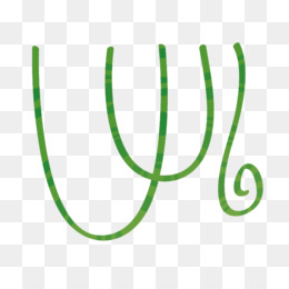 260x260 Free Download Liana Vine Jungle Drawing Tree