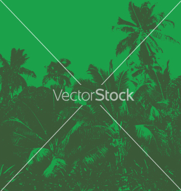 357x376 Free Tropical Jungle Vector Free Vector Download 271001 Cannypic