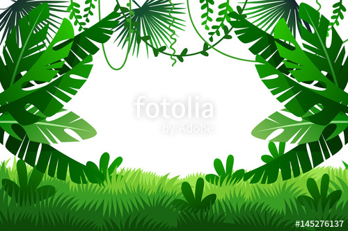 500x333 Jungle Vector Illustration. Frame Stock Image And Royalty Free