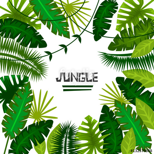 500x500 Tropical Plants. Jungle. Vector Illustration. Frame Stock Image
