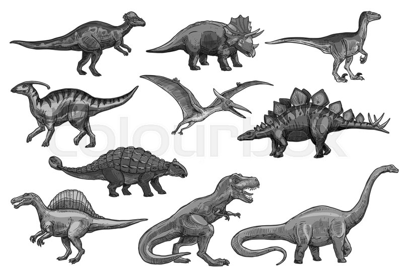 800x548 Dinosaurs Sketch Icons For Jurassic Park Design. Vector Isolated