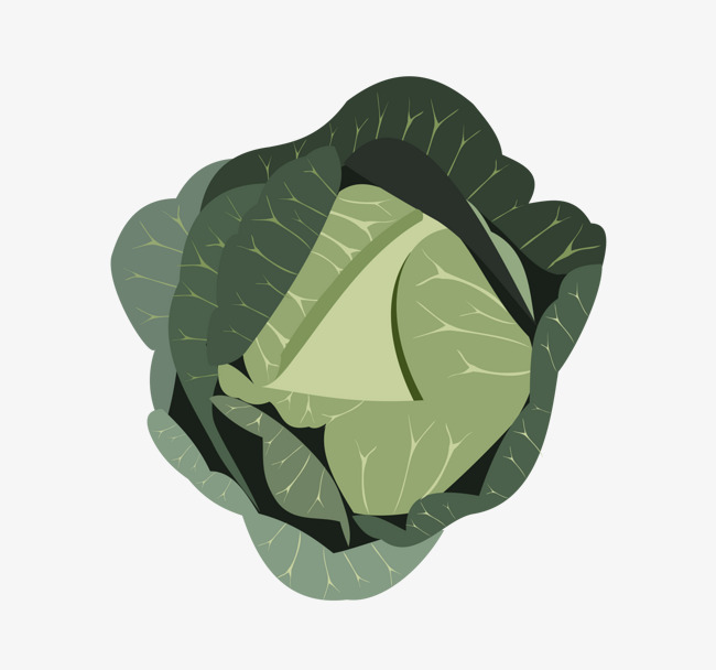 650x608 Kale Material, Vegetables, Food, Green Png And Vector For Free