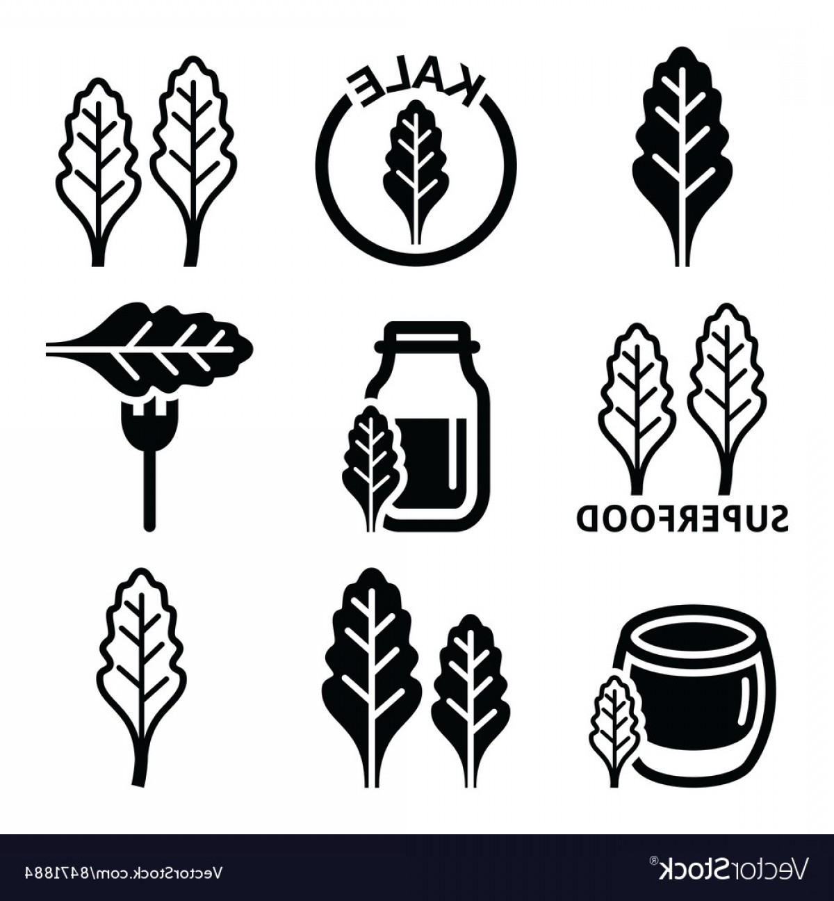 1200x1296 Kale Vector Sohadacouri