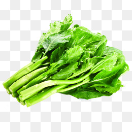 260x260 Kale Vector Png, Vectors, Psd, And Clipart For Free Download Pngtree