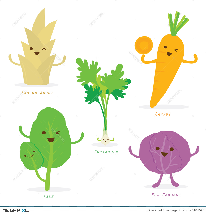800x830 Vegetable Cartoon Cute Set Bamboo Shoot Carrot Kale Cabbage