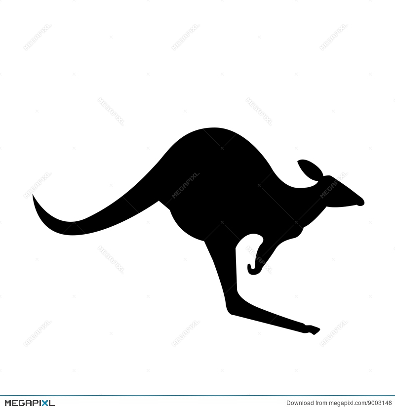 800x830 Kangaroo Vector Silhouette Illustration 9003148