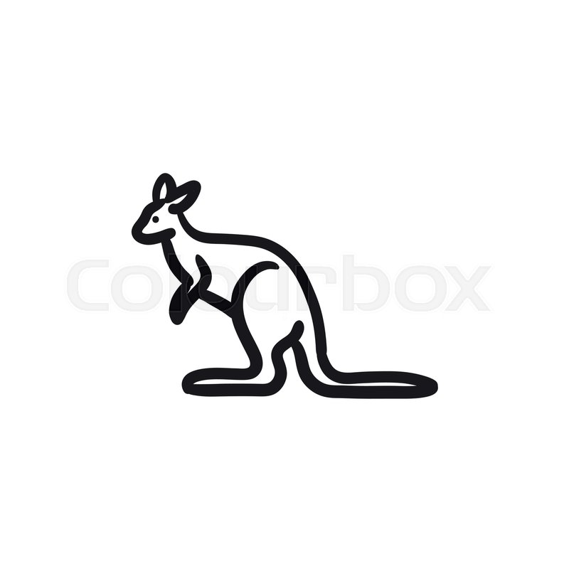 800x800 Kangaroo Vector Sketch Icon Isolated On Background. Hand Drawn